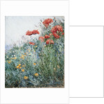 Poppies, Appledore by Childe Hassam