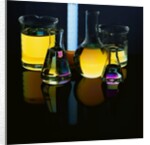Laboratory Flasks and Beakers Filled with Liquid by Anonymous