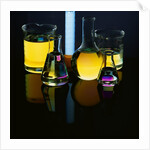 Laboratory Flasks and Beakers Filled with Liquid by Anonymous