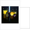 Laboratory Flasks and Beakers Filled with Liquid by Anonymous