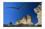 Pteranodon Longiceps Model in Flight by Anonymous