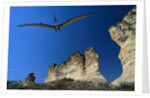 Pteranodon Longiceps Model in Flight by Anonymous