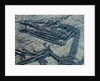 Oldest Pterosaur Fossil by Anonymous