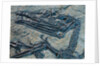 Oldest Pterosaur Fossil by Anonymous