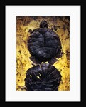 Pair of Freshwater Turtle Fossils by Anonymous