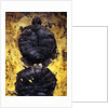 Pair of Freshwater Turtle Fossils by Anonymous