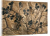 Fossil of Basswood Stems and Berries by Anonymous
