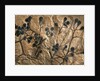 Fossil of Basswood Stems and Berries by Anonymous