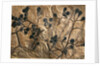 Fossil of Basswood Stems and Berries by Anonymous