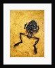 Fossil of Frog by Anonymous