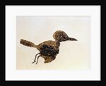 Fossil of Small Bird from Messel Site by Anonymous
