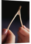 Two hands and a Wish Bone by Anonymous