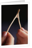 Two hands and a Wish Bone by Anonymous