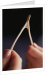 Two hands and a Wish Bone by Anonymous