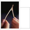 Two hands and a Wish Bone by Anonymous