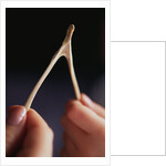 Two hands and a Wish Bone by Anonymous