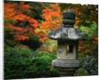 Stone Lantern in the Japanese Tea Garden at the University of Washington Arboretum by Anonymous