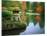 Stone Lantern in the Japanese Tea Garden at the University of Washington Arboretum by Anonymous
