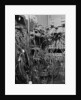 Cables on Early Computer by Anonymous