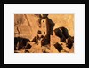 Four Story House in Cliff Palace by Anonymous