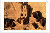 Four Story House in Cliff Palace by Anonymous