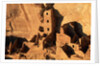 Four Story House in Cliff Palace by Anonymous
