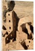 Four Story House in Cliff Palace by Anonymous