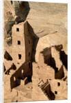 Four Story House in Cliff Palace by Anonymous