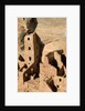 Four Story House in Cliff Palace by Anonymous