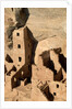 Four Story House in Cliff Palace by Anonymous