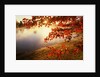 Sunrise Through Autumn Leaves by Anonymous