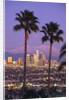 Two Palm Trees with Distant Los Angeles by Anonymous
