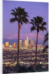 Two Palm Trees with Distant Los Angeles by Anonymous