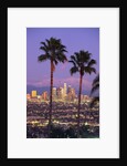 Two Palm Trees with Distant Los Angeles by Anonymous