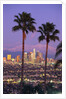 Two Palm Trees with Distant Los Angeles by Anonymous