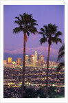 Two Palm Trees with Distant Los Angeles by Anonymous