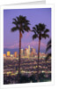 Two Palm Trees with Distant Los Angeles by Anonymous