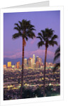 Two Palm Trees with Distant Los Angeles by Anonymous
