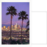 Two Palm Trees with Distant Los Angeles by Anonymous