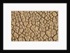 Cracked, Dry Lake Bottom Pattern in Death Valley by Anonymous