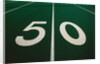 50-Yard Line of Football Field by Anonymous