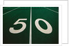50-Yard Line of Football Field by Anonymous