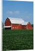 Barn and Corn Field by Anonymous