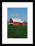 Barn and Corn Field by Anonymous
