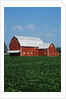Barn and Corn Field by Anonymous