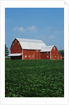 Barn and Corn Field by Anonymous