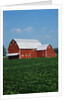 Barn and Corn Field by Anonymous