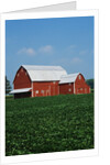 Barn and Corn Field by Anonymous