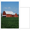 Barn and Corn Field by Anonymous
