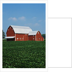 Barn and Corn Field by Anonymous